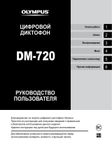 Olympus DM-720 (4GB) Руководство пользователя