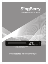 SingBerry DKH2000 Руководство пользователя