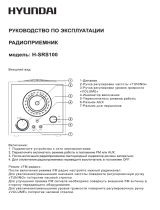 Hyundai H-SRS100 Руководство пользователя