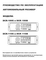 DigmaDCR-100G