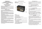 Ritmix RPR-070 Gold Руководство пользователя