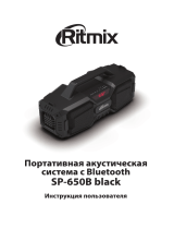 Ritmix SP-650B Black Руководство пользователя