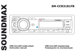 SoundMax SM-CCR3181FB Руководство пользователя