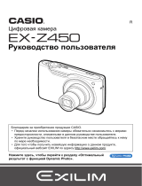 Casio EX-Z450 Silver Руководство пользователя