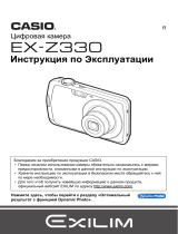 Casio EX-Z2000 Silver Руководство пользователя