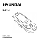 Hyundai HF2563 256Mb Руководство пользователя