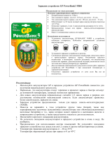 GP PB04GS(4180AA) па Руководство пользователя