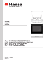 Hansa FCEW53001 Руководство пользователя