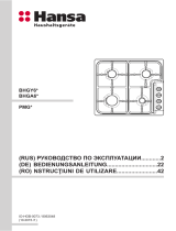 Hansa BHGY62079 Руководство пользователя