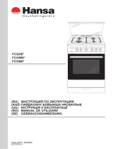 Hansa FCGB61001 Руководство пользователя