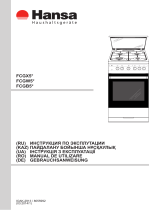 Hansa FCGX53021 Руководство пользователя