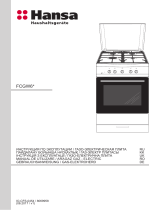 Hansa FCGW62097 Руководство пользователя