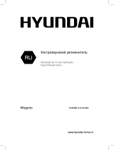 Hyundai H-HU8E-3.0-UI184 Руководство пользователя