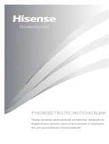 Hisense RR220D4AB2 Руководство пользователя