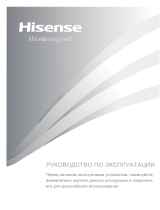 Hisense RR220D4AR2 Руководство пользователя