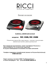 Ricci RIC-3106i Руководство пользователя