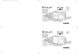 Casio EXZ850 Silver Руководство пользователя