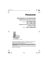 Panasonic KX-TG8021RUS Руководство пользователя