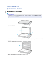 Epson Perfection V33 Руководство пользователя