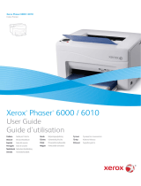 Xerox Phaser 6010N Руководство пользователя