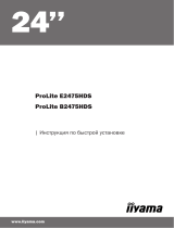 iiyama PLB2475HDS-B1 Руководство пользователя
