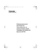 Toshiba DX730-A3K Руководство пользователя