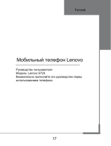 Lenovo S720 Grey Руководство пользователя