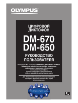 Olympus DM-650 Руководство пользователя