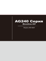 MSI AG240 2PE-041RU Руководство пользователя