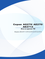 MSI AG270 2QC-062RU Руководство пользователя