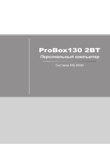 MSI ProBox130 2M-014XRU Руководство пользователя