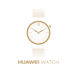 Huawei Watch Classic Silver (MERCURY-G00) Руководство пользователя