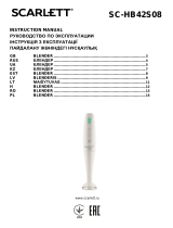 Scarlett sc-hb42s08 Руководство пользователя