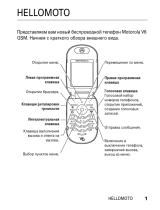 Motorola PEBL U6 Руководство пользователя