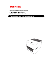 Toshiba B-FV4D-GS14-QM-R Руководство пользователя