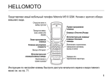 Motorola W510 grey Руководство пользователя