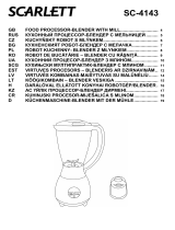 Scarlett SC-4143 White Руководство пользователя