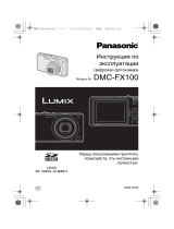 Panasonic DMC-FX100EEK Руководство пользователя