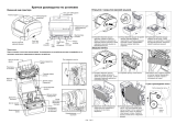 TSC TC Series User's Setup Guide