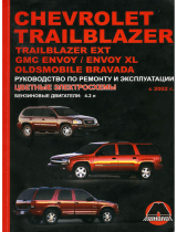 Chevrolet Trailblazer 2002 Руководство пользователя