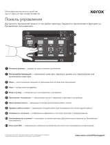 Xerox AltaLink B8145 / B8155 / B8170 Руководство пользователя