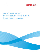 Xerox 5865/5875/5890 Руководство пользователя