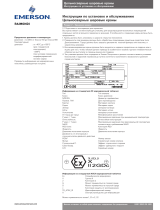 Raimondi Ball Valves, Trunn Mount, Full Weld, Model 5600, IOM Инструкция по применению