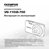 Olympus VG-110 Red Руководство пользователя