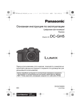Panasonic GH5 Руководство пользователя