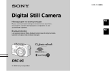 Sony DSC-V1 Руководство пользователя