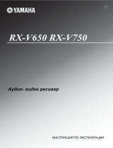 Yamaha RX-V750 RDS Руководство пользователя