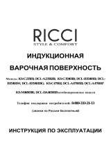 Ricci DCL-B35401B Руководство пользователя