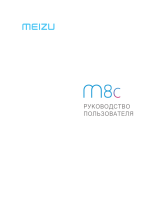 Meizu M8c 16Gb+2Gb Gold (M810H) Руководство пользователя