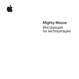 Apple Wireless MB111 Руководство пользователя